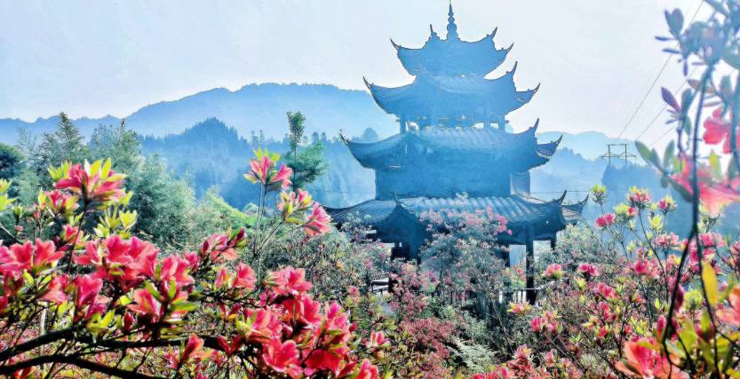 配图