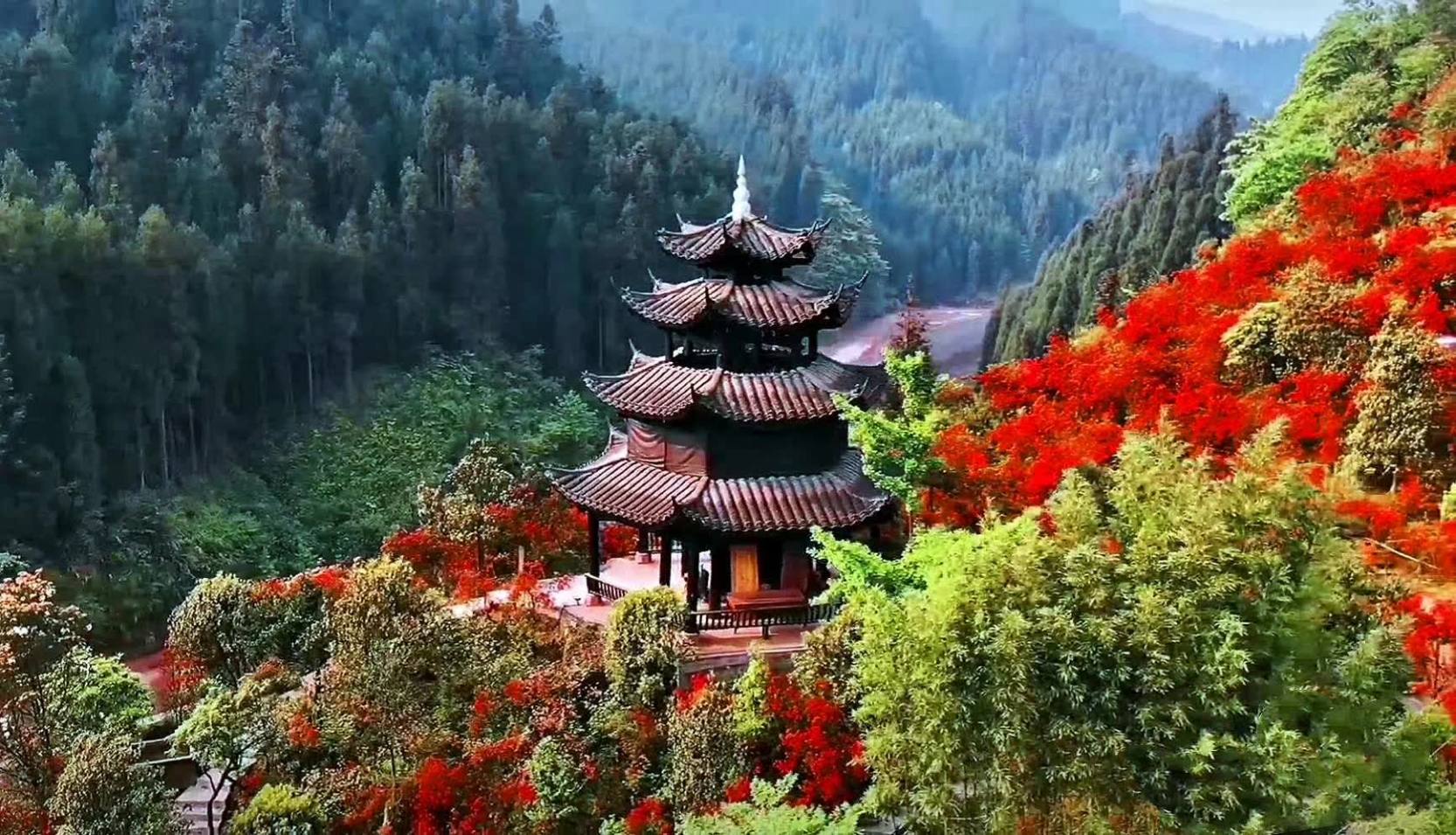 配图