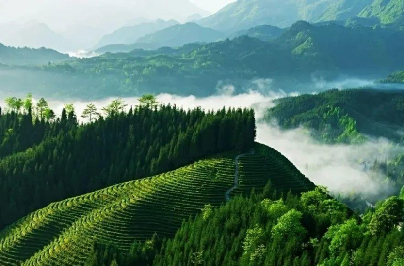 配图