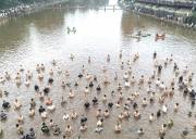 超21万人次、1.1亿元！端午假期，洪雅全域文旅市场热度持续走高