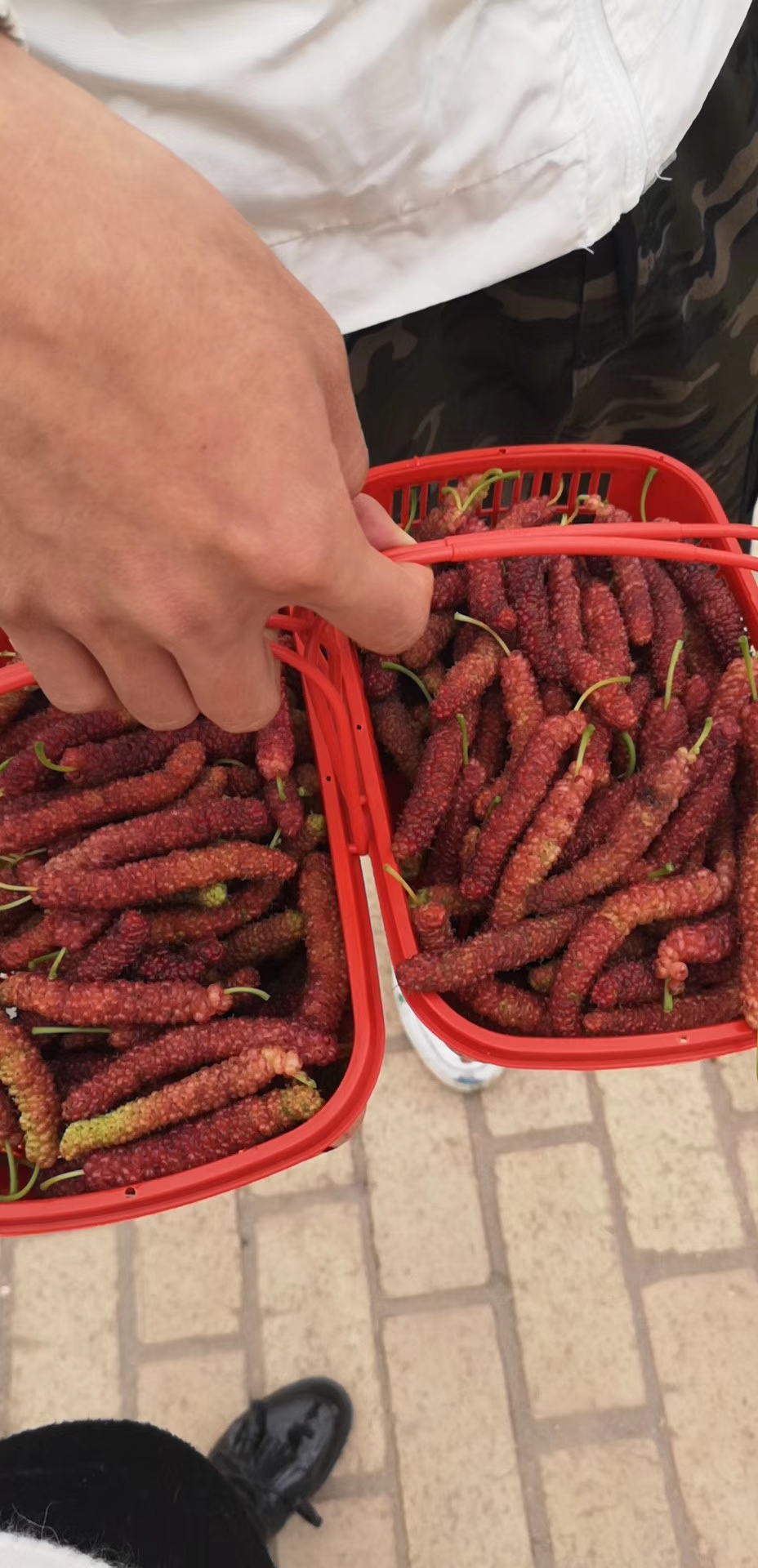 mmexport1555646619341