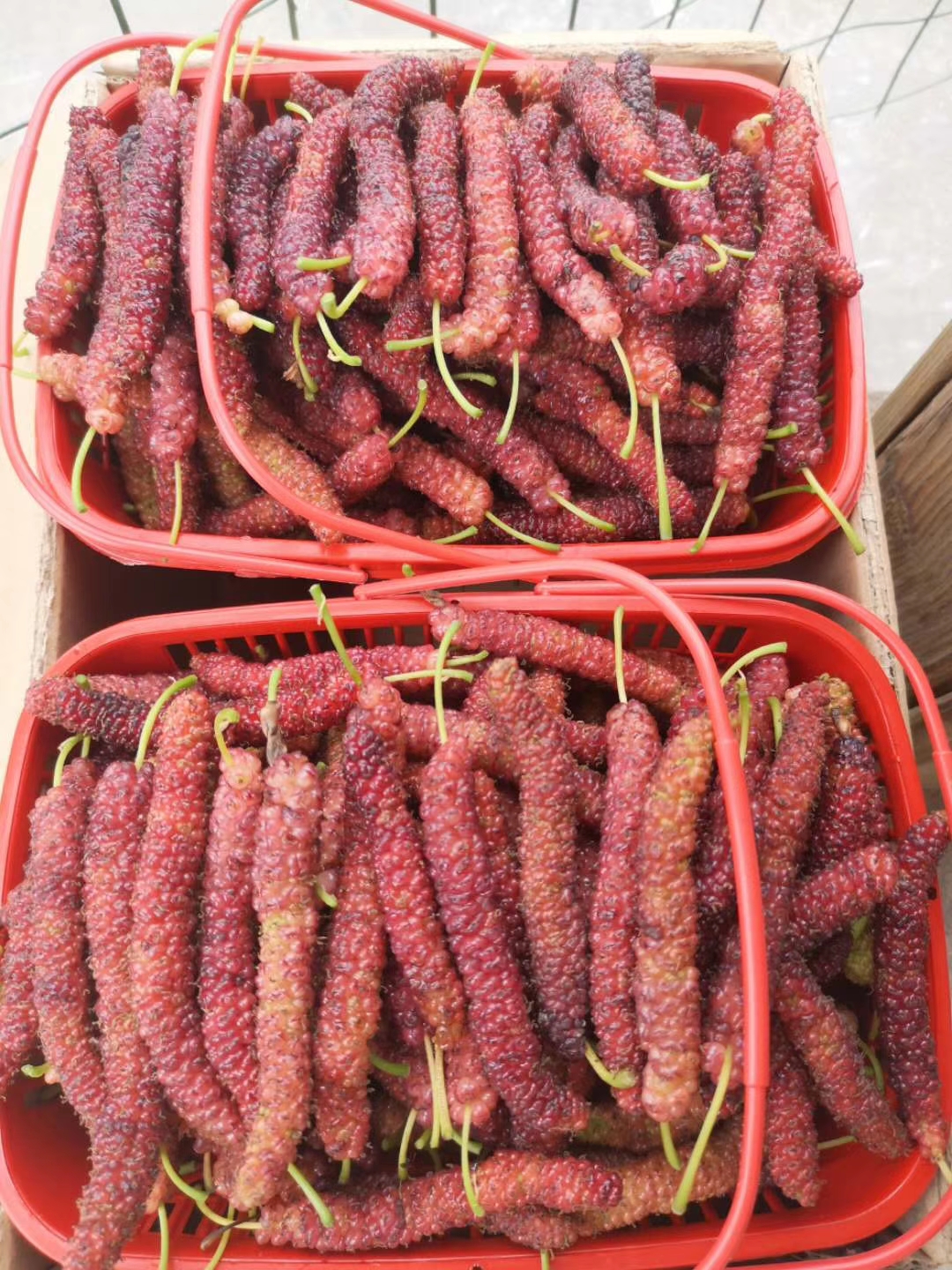 mmexport1555646616109