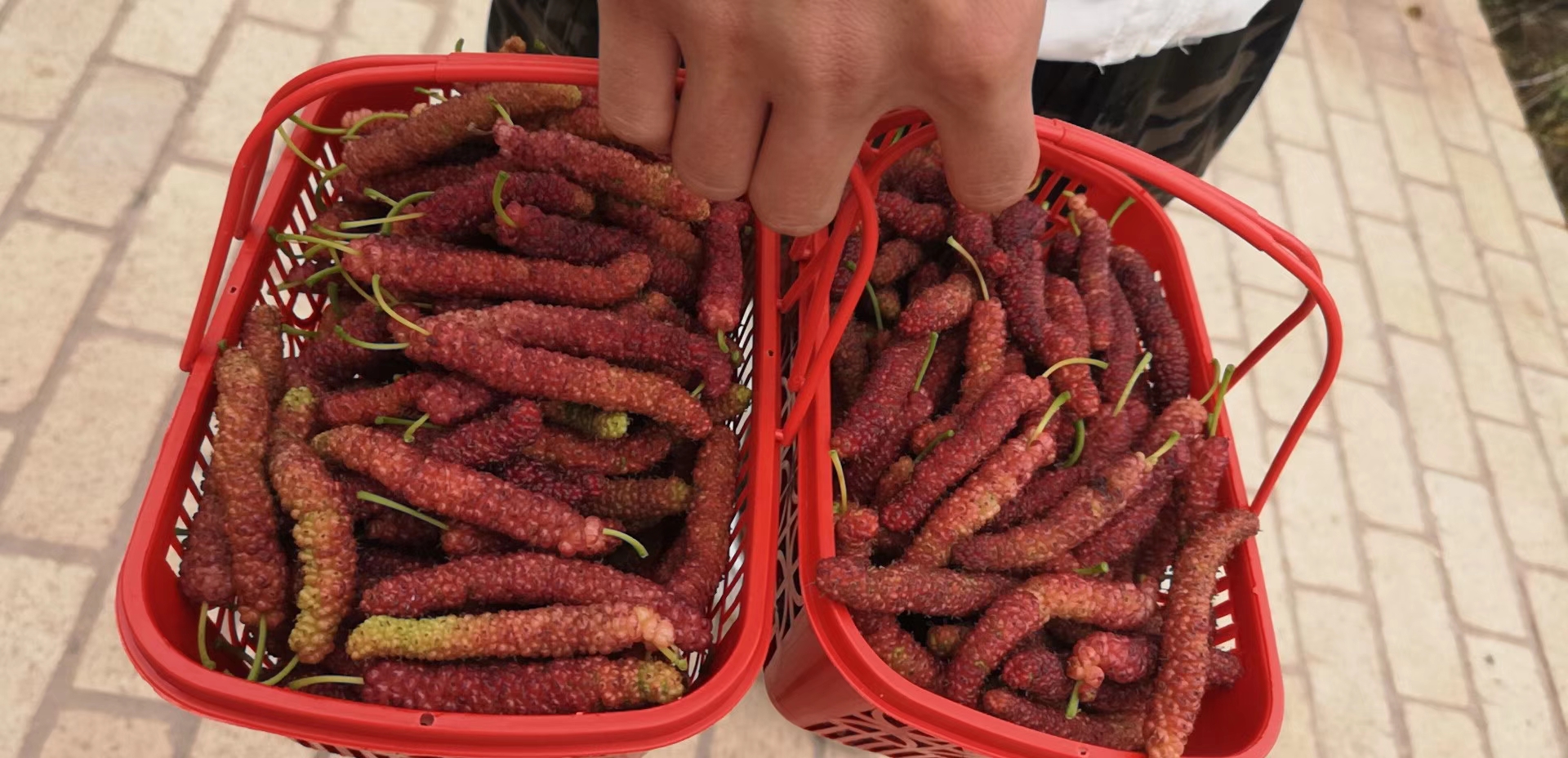 mmexport1555646623164