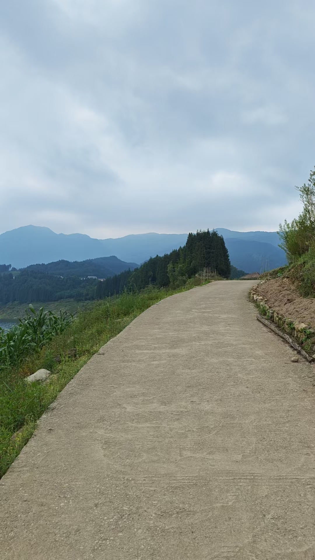 山间公路远眺