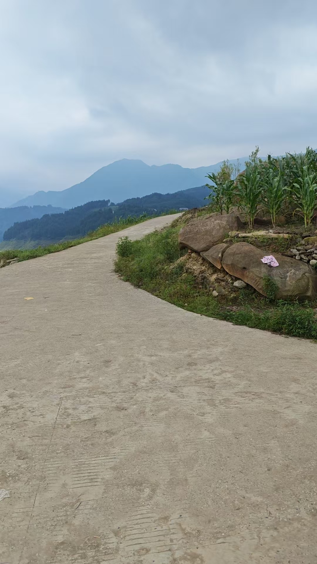 瓦屋山山路